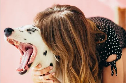 Gridare al cane fa male